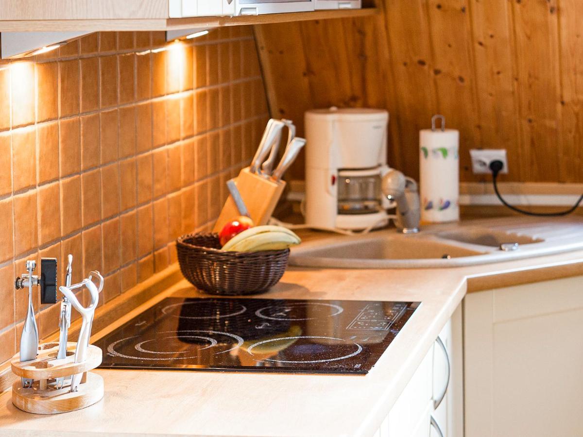 Visitzakopane - Gerlach Apartment Dış mekan fotoğraf